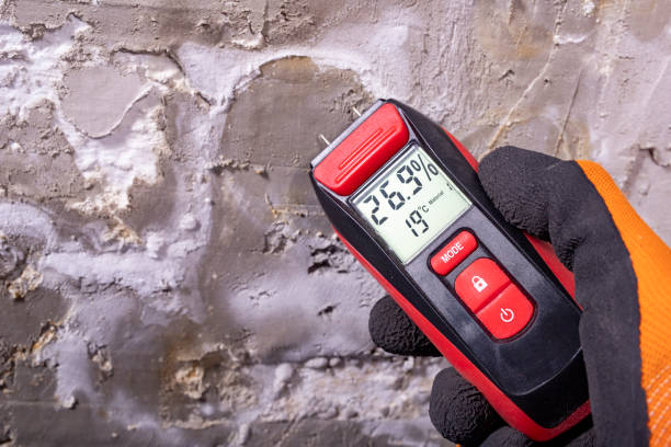 Best Crawl Space Mold Removal  in Lewisville, WA
