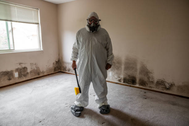Best Commercial Mold Removal  in Lewisville, WA
